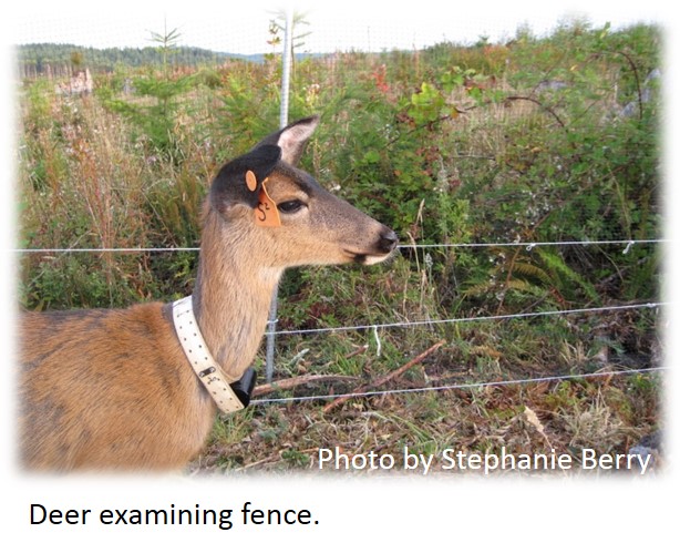 Deer Fences | Foraging Ecology - WordPress.com